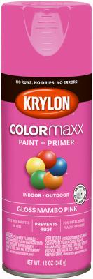 12OZ Mambo PNK Paint