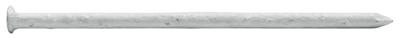 1/4LB WHT Trim Nails