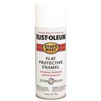 PAINT SPRAY ENML FLAT WHT 12OZ