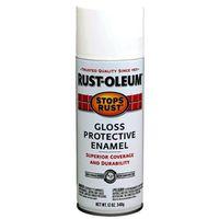 PAINT SPRAY GLOSS WHITE 12 OZ