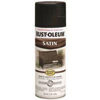 PAINT SPRAY IN EX SAT BLK 12OZ
