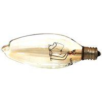 BULB CHNDLR 60W 120V B10