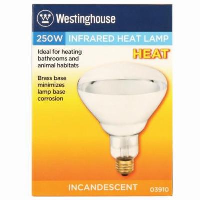 1PK 250W R40 CLR Lamp