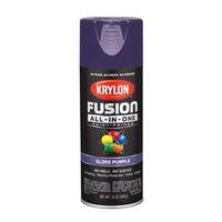 PAINT SPRY GLOSS PURPLE 12OZ