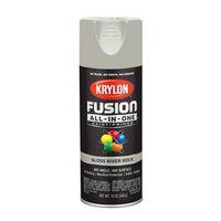 PAINT SPRY GLOSS RVR ROCK 12OZ
