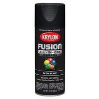 PAINT SPRY STN BLACK 12OZ