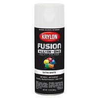 PAINT SPRY STN WHITE 12OZ