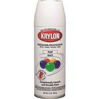 PAINT SPRAY FLAT WHITE 12OZ