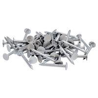 NAIL ROOFING EG 3IN 1LB