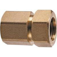 PRO-FLEX BRASS FEM FITTING 1/2