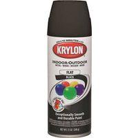 PAINT SPRAY IN/EX FLT BLK 12OZ