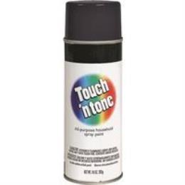 PAINT SPRAY IN EX SG BLK 10OZ