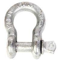 SHACKLE ANCHOR SCREW PIN 3/8IN