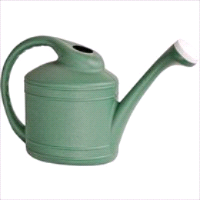 CAN WATERING FERN GRN 2GAL