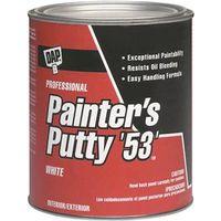 PUTTY PAINTER ALLPURP WHITE PT