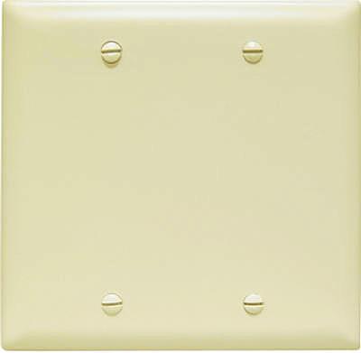 IVY 2G BLNK NYL PLATE