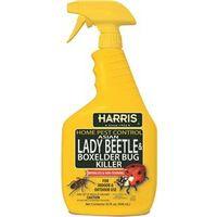 BEETLE & BX ELDER BUG KIL 32OZ