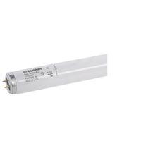 BULB FLUOR CWHITE 48IN T12 40W