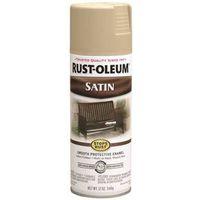 PAINT SPRAY SATIN PUTTY 12OZ