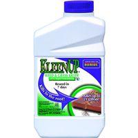 KLEENUP .41 GLYPHOSATE CONC QT
