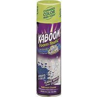 CLEANER BATHROOM 19 OZ