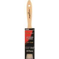 BRUSH VARNISH WALL POLY 1.5IN