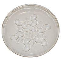 SAUCER PLUS HD PLANT 8IN