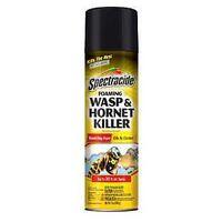 FOAMING WASP & HORNET KLR 14OZ