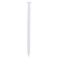 NAIL PANEL WHITE 1LB 1-5/8IN