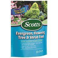 SCTS EVERGREEN 3LB