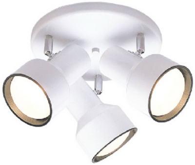 3 LGT WHT Ceil Fixture