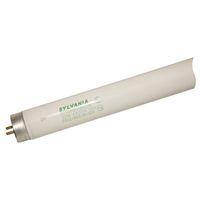 BULB FLUOR DAYLT 48IN T8 32W