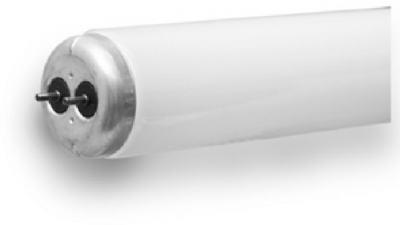 GE20W 24" Day Fluo Bulb