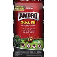 INSECT KLLR LAWN GRAN 4/10LB