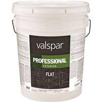 PAINT EXTR FLT LATEX LT BS 5G