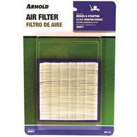 FILTR PAPER B&S NO399877 3.5HP