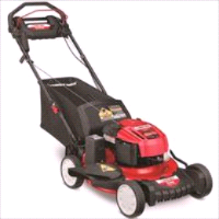 MOWER 21IN RWD 163CC LW 3-N-1