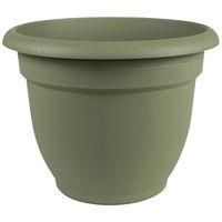 PLANTER BASIL 6IN