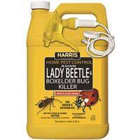 BEETLE & BX ELDER BUG KIL GAL