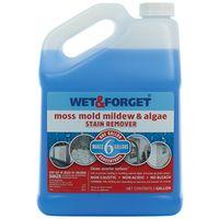 REMOVER MOLD/MLDW STAIN 1 GAL