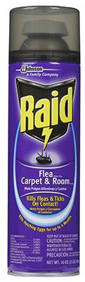 RAID 16OZ FLEA KILLER