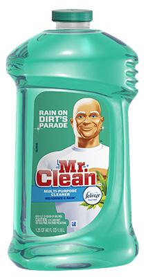 040OZ MrCleanAP MDW&Rain