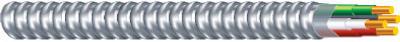 100' 14/2MC W/G Conduit