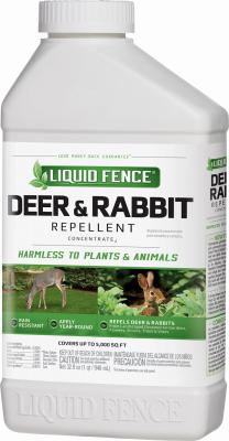 QT CONC DEER REPELLENT