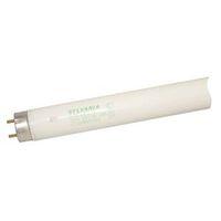 BULB FLUOR T8 32W 30K/HR 48IN
