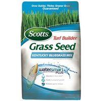 2.4LB KENTUCKY BLU SEED