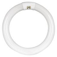 BULB FLUOR CLR 4PN CWHT T9 32W