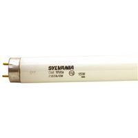 BULB FLUOR COOLWHT 18IN T8 15W