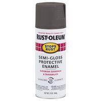 PAINT SPRAY GLO ANZD BRZ 12OZ