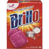 STEEL WOOL SOAP PAD 10 COUNT